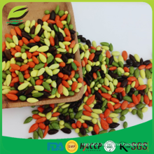 chocolate coated sunflower seeds